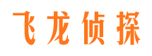 洪山市婚外情调查